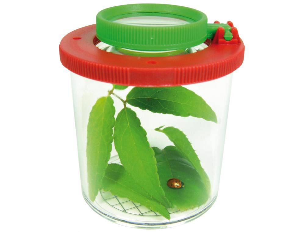 MATERIEL D OBSERVATION EDUPLAY BOITE LOUPE GRAND     MODELE QUADRILLAGE 5 MM       TAILLES DES ANIMAUX PLASTIQUE