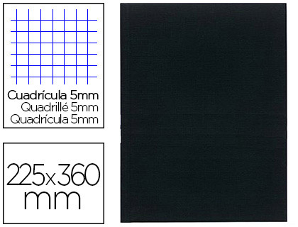REGISTRE STANDARD EXACOMPTA 250X320MM 5X5MM FOLIOT VERTICAL 200 PAGES