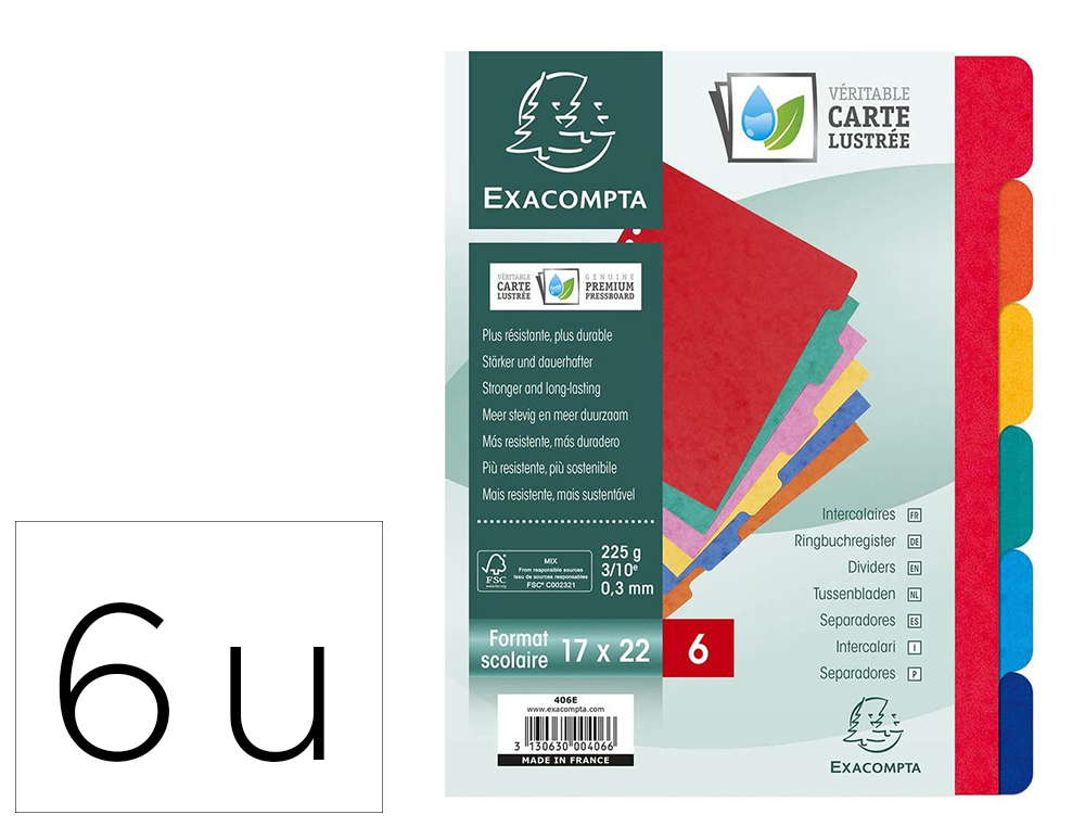 INTERCALAIRE EXACOMPTA CARTE LUSTRÉE 225G 6 TOUCHES FORMAT ÉCOLIER 17X22CM COLORIS ASSORTIS