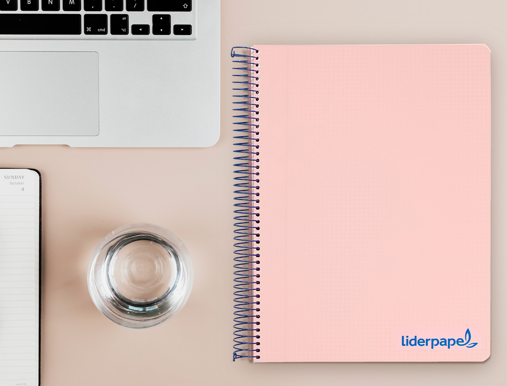CAHIER SPIRALE LIDERPAPEL A4 MICRO WONDER 240 PAGES 90G 5X5MM 4 TROUS 5 BANDES COULEURS ROSE