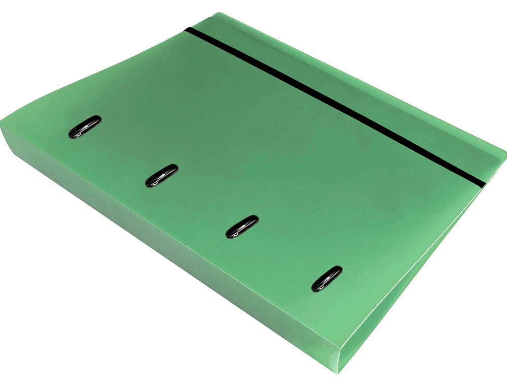 CLASSEUR LIDERPAPEL 4 ANNEAUX EN D 25MM A4 POLYPROPYLENE    FEUILLETS MOBILES 100F 5X5MM  COLORIS MENTHE