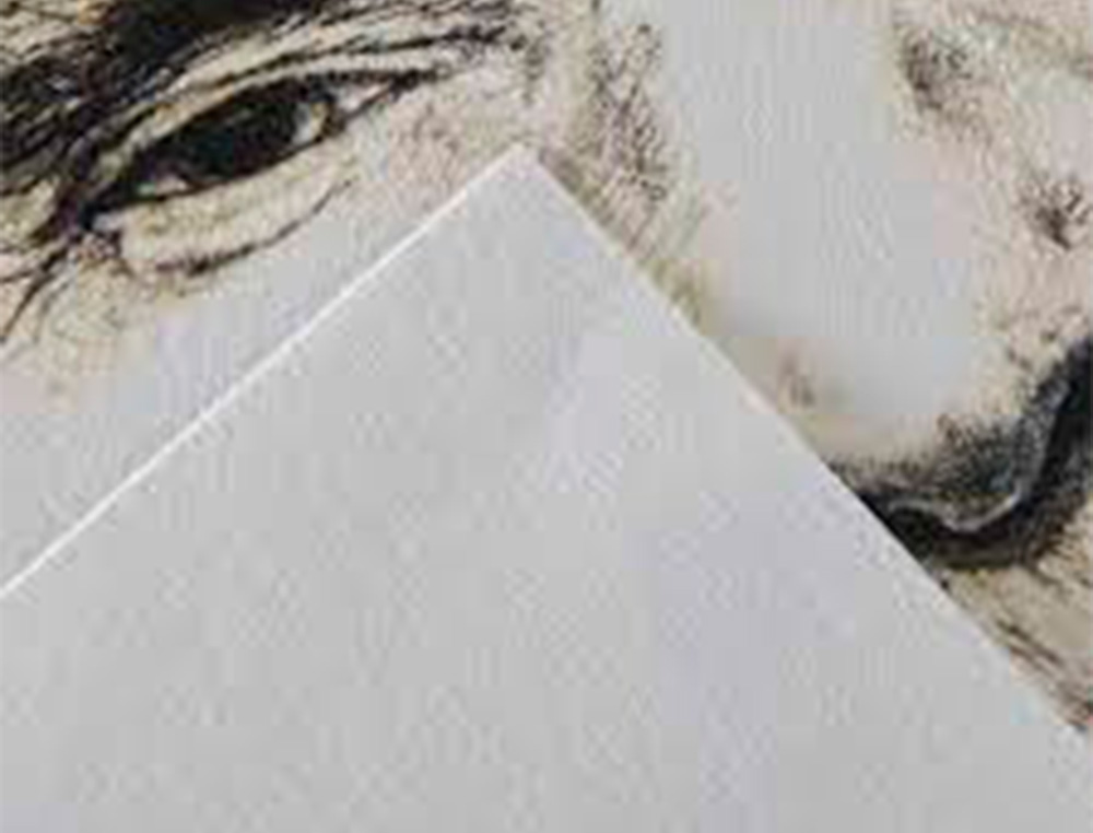 PAPIER DESSIN CANSON C A GRAIN CRAYON ENCRE GOUACHE    FEUTRE 180G FEUILLE 50X65CM