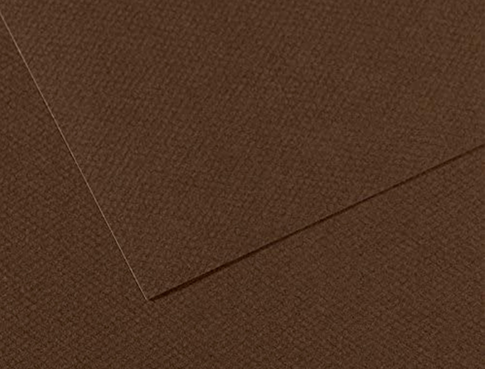 PAPIER DESSIN CANSON FEUILLE MI-TEINTES N 501 GRAIN GELATINE HAUTE TENEUR COTON 160G 50X65CM UNICOLORE MARRON