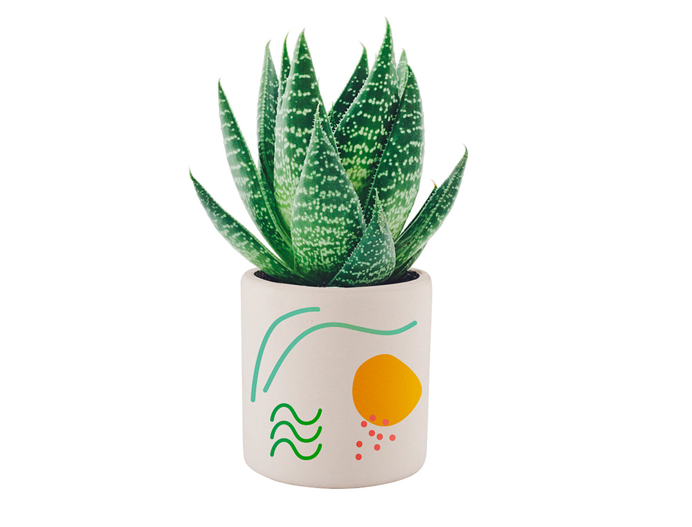 POT EN CERAMIQUE SODERTEX ROND  7,8 X 8 CM - 6 PCS - 1  COLORIS
