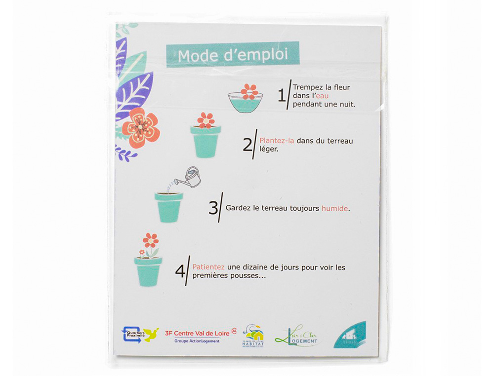 PACK FORMES PRINTEMPS EN PAPIER ENSEMENC - 3,5 CM - 100 PCS - COLORIS BLANC