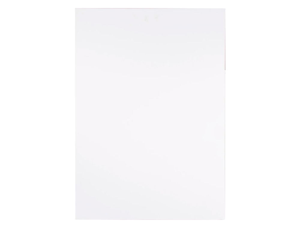 CARTON PLUME LIDERPAPEL DOUBLE-FACE 100X140CM EPAISSEUR 10MM COLORIS BLANC