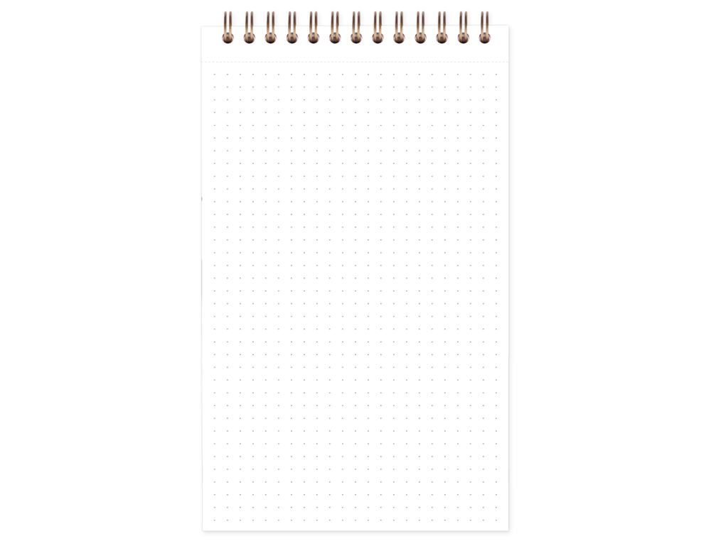 BLOC CLAIREFONTAINE MY TASK MANAGER NOMADDICT RELIURE INTEGRALE 120X200MM 250P DETACHABLES REGLURE PRE-IMPRIMEE TABAC