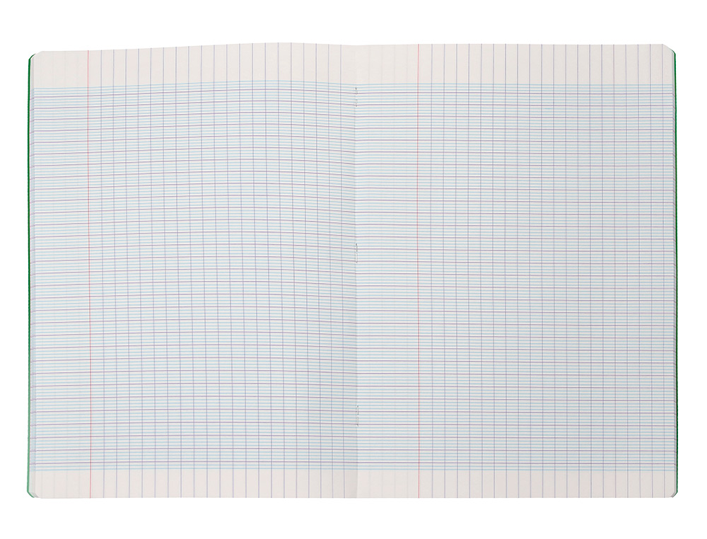 CAHIER PIQURE LIDERPAPEL COUVERTURE PP 210X297MM 96P SEYES COLORIS VERT
