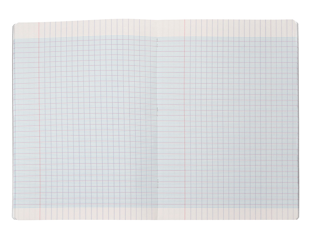 CAHIER PIQURE LIDERPAPEL COUVERTURE PP 240X320MM 48P SEYES INCOLORE