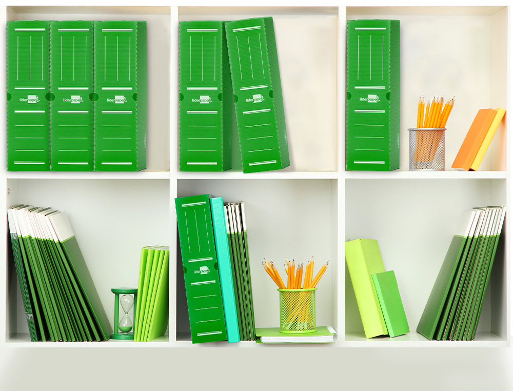 BOITE A ARCHIVES LIDERPAPEL POLYPROPYLENE ONDULE DOS 100MM 360X100X260MM COLORIS VERT
