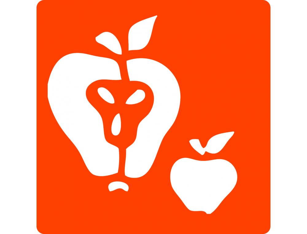 POCHOIRS GRAINE CREATIVE A DESSINER FRUITS PLASTIQUES    LAVABLES 6 UNITES ASSORTIS