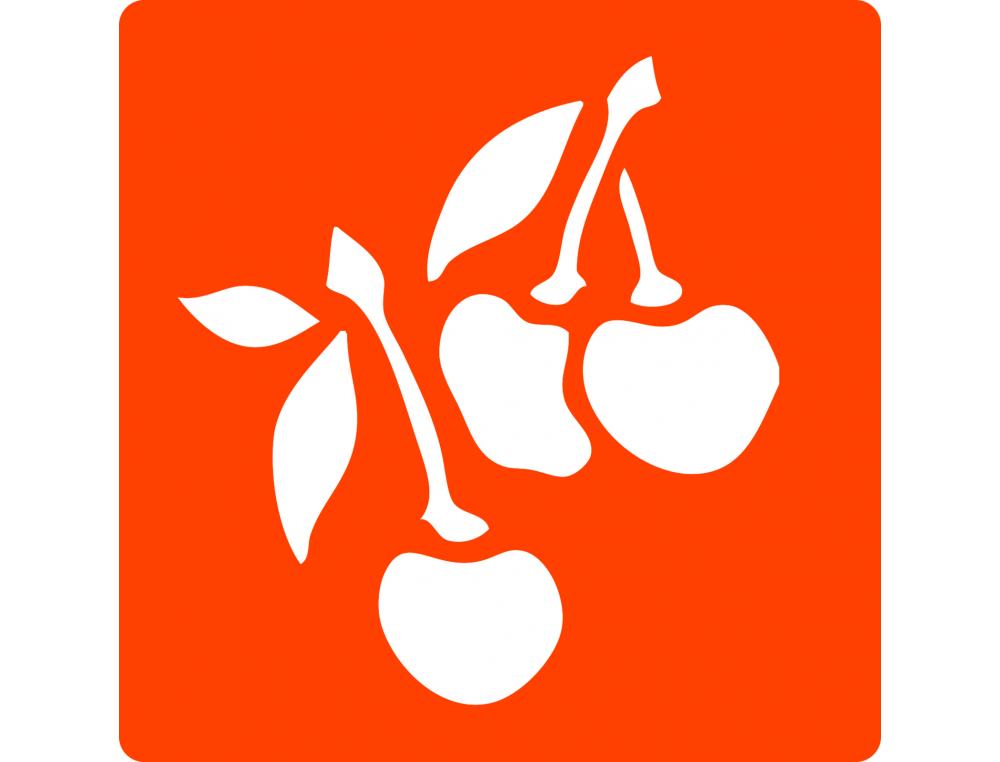 POCHOIRS GRAINE CREATIVE A DESSINER FRUITS PLASTIQUES    LAVABLES 6 UNITES ASSORTIS