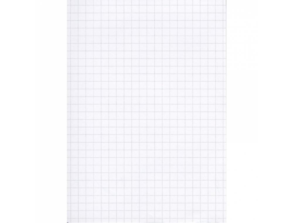 BLOC-NOTES CALLIGRAPHE 148X210MM 5X5 60G 100         FEUILLES