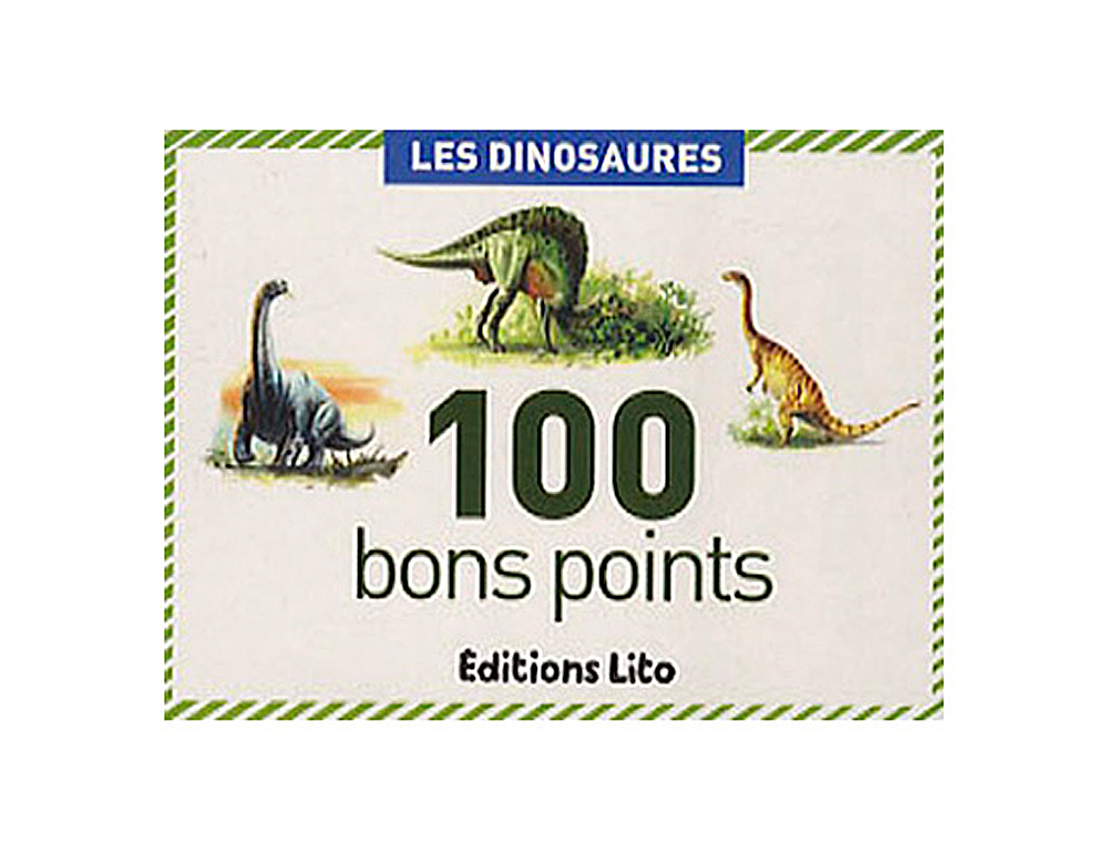 BON POINT ÉDITIONS LITO DINOSAURES TEXTE PÉDAGOGIQUE AU VERSO 61X82MM BOÎTE 100 UNITÉS