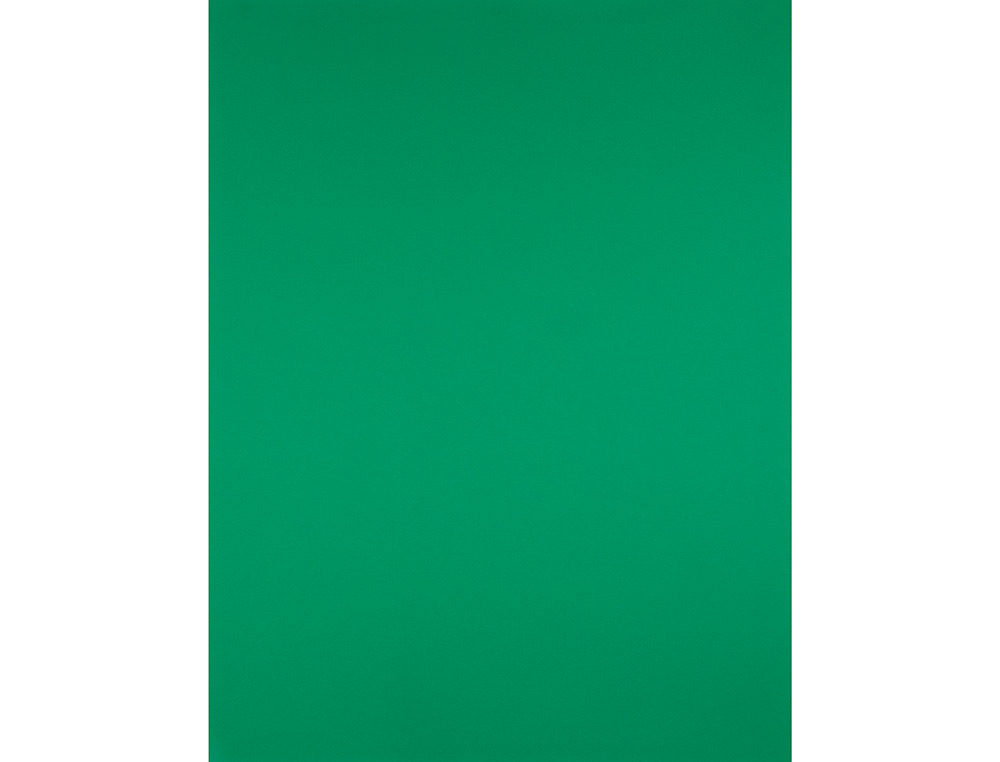 PAPIER CARTONNE LIDERPAPEL 50X65CM 180GR COLORIS VERT    NOEL