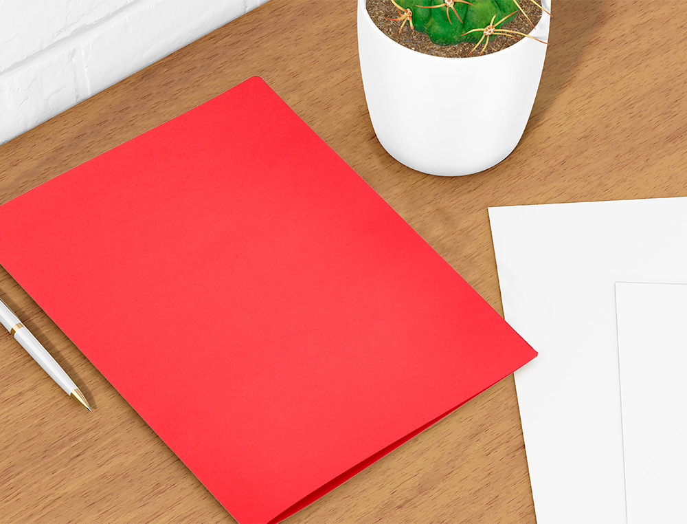 SOUS-CHEMISE LIDERPAPEL PAPIER CARTONNÉ 180G 310X230MM DOCUMENT A4 210X297MM COLORIS PASTEL ROUGE INTENSE
