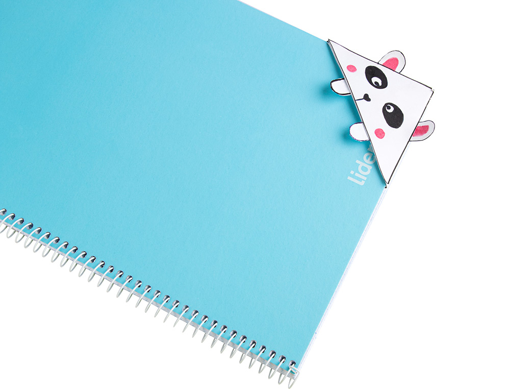 PAPIER CARTONNE LIDERPAPEL 50X65CM 240GR COLORIS MARRON  FONCE