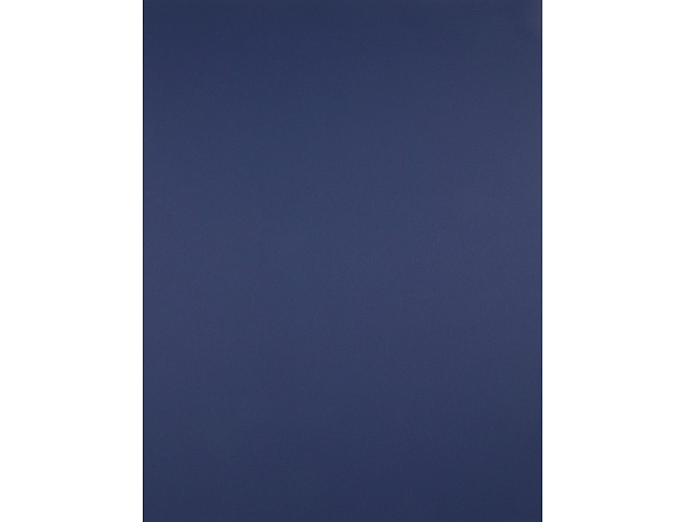 PAPIER CARTONNE LIDERPAPEL 50X65CM 240GR COLORIS BLEU SAPHIR