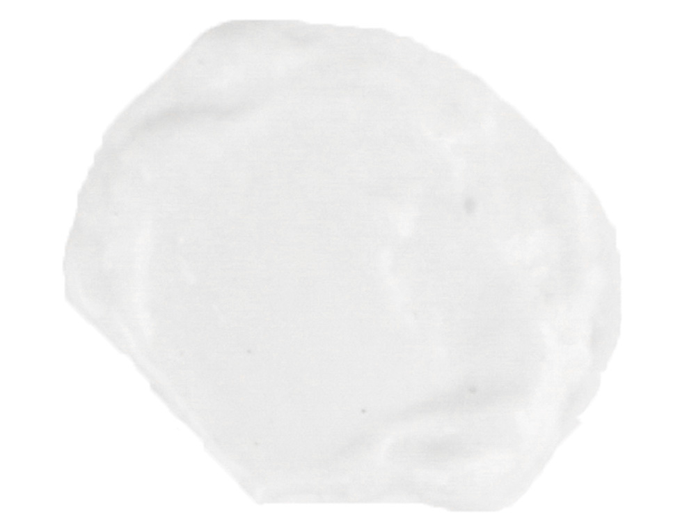 GOUACHE SCOLAIRE LIDERPAPEL LIQUIDE LAVABLE FERMETURE SCURIT BRILLANTE COLORIS BLANC FLACON 500ML
