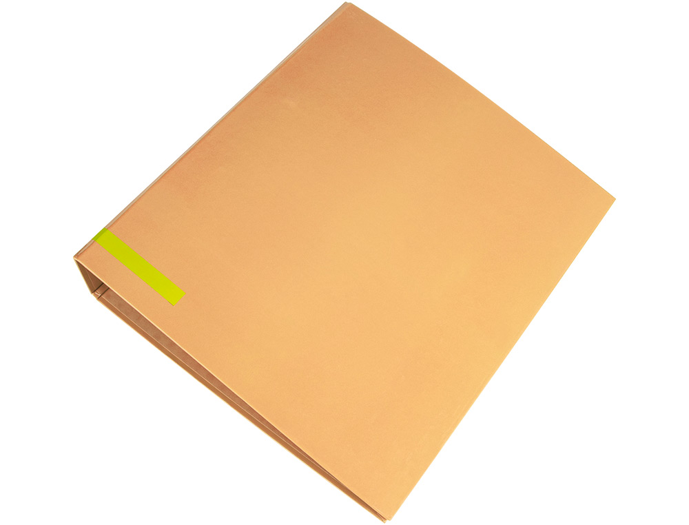 CLASSEUR A LEVIER LIDERPAPEL A4 COLOR SYSTEM DOS DE 80 MM  COLORIS PECHE