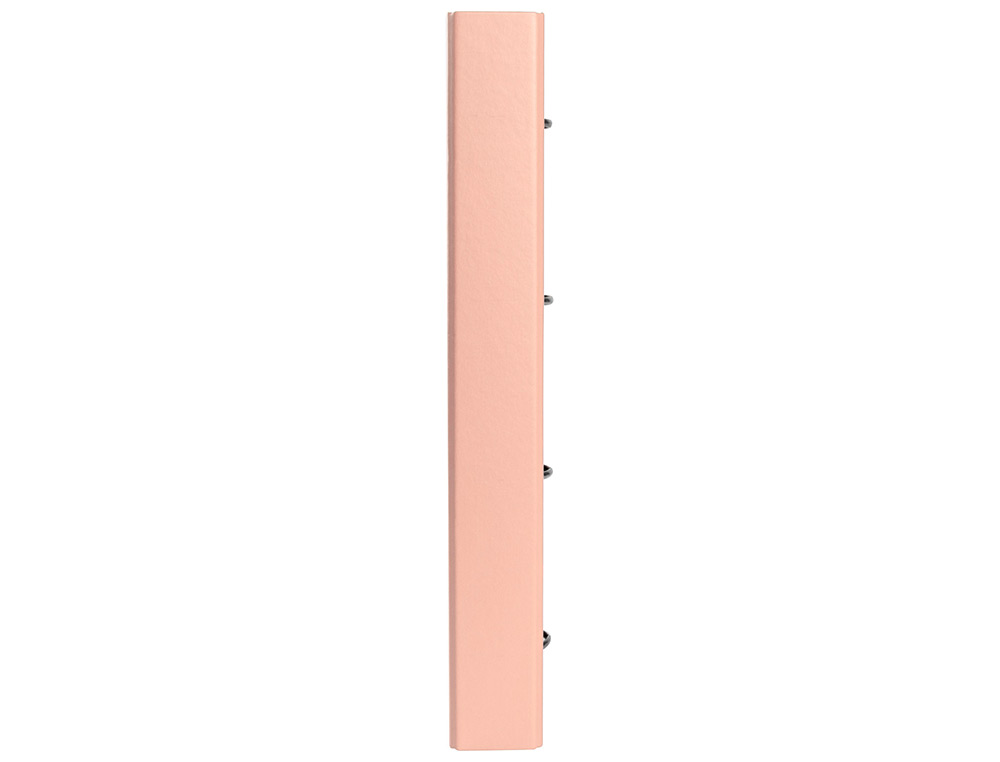 CLASSEUR ANTARTIK TRENDING TOPIC 2020 4 ANNEAUX RONDS    40MM FEUILLET MOBILE A4 5X5MM COLORIS CORAIL