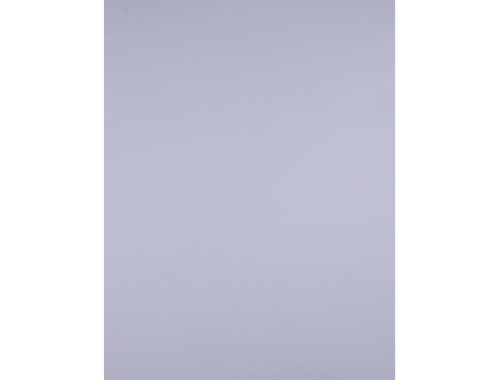 PAPIER CARTONNE LIDERPAPEL 50X65CM 240GR COLORIS LILAS