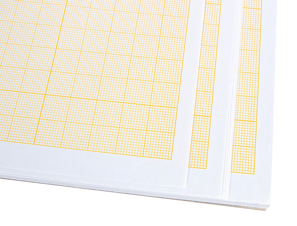 PAPIER MILLIMTR LIDERPAPEL 1MM 80G/M2 FEUILLE A4 210X297MM MINIPACK 10F