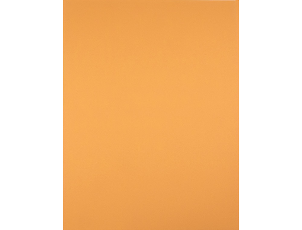 PAPIER CARTONNE LIDERPAPEL 50X65CM 240GR COLORIS         NOISETTE PAQUET 25 FEUILLES