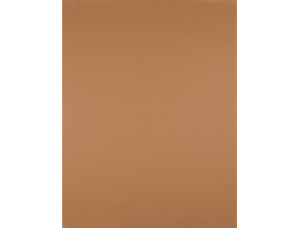 PAPIER CARTONNE LIDERPAPEL 50X65CM 180GR COLORIS MARRON  CLAIR PAQUET 25 FEUILLES