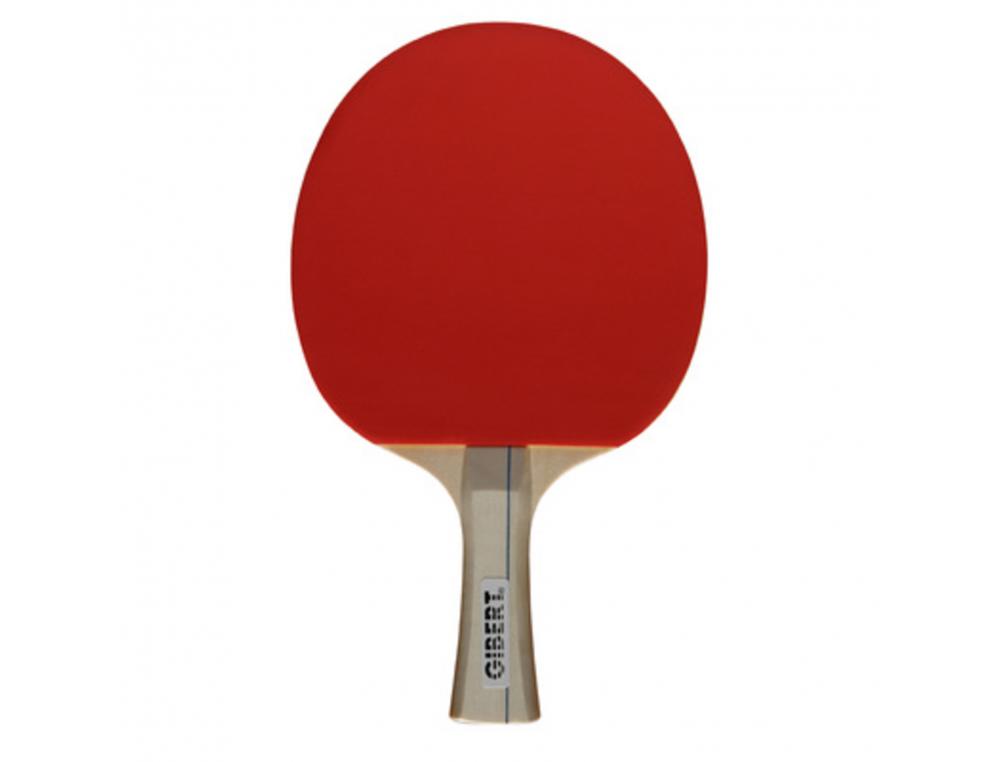 RAQUETTES TENNIS DE TABLE BOIS MANCHE ERGONOMIQUE       CAOUTCHOUC PICOTS RETOURNES   COLORIS ASSORTIS