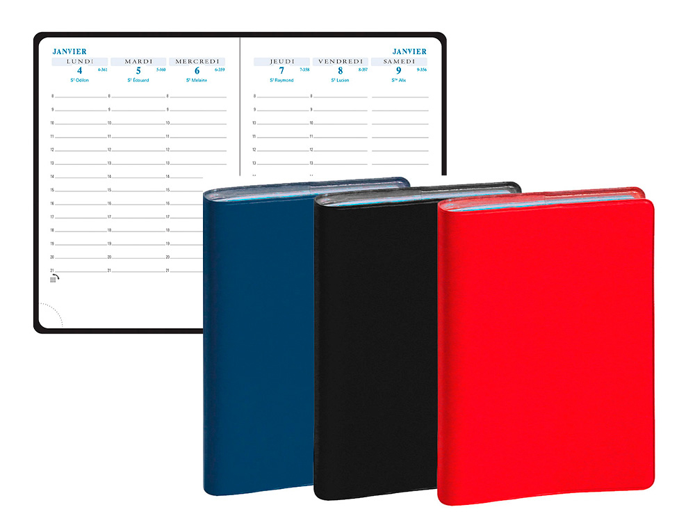 AGENDA EXACOMPTA POCHE HORIZON 15 SEMAINIER BARBARA COUVERTURE AMOVIBLE 1 SEMAINE 2 PAGES 105X155MM COLORIS ASSORTIS