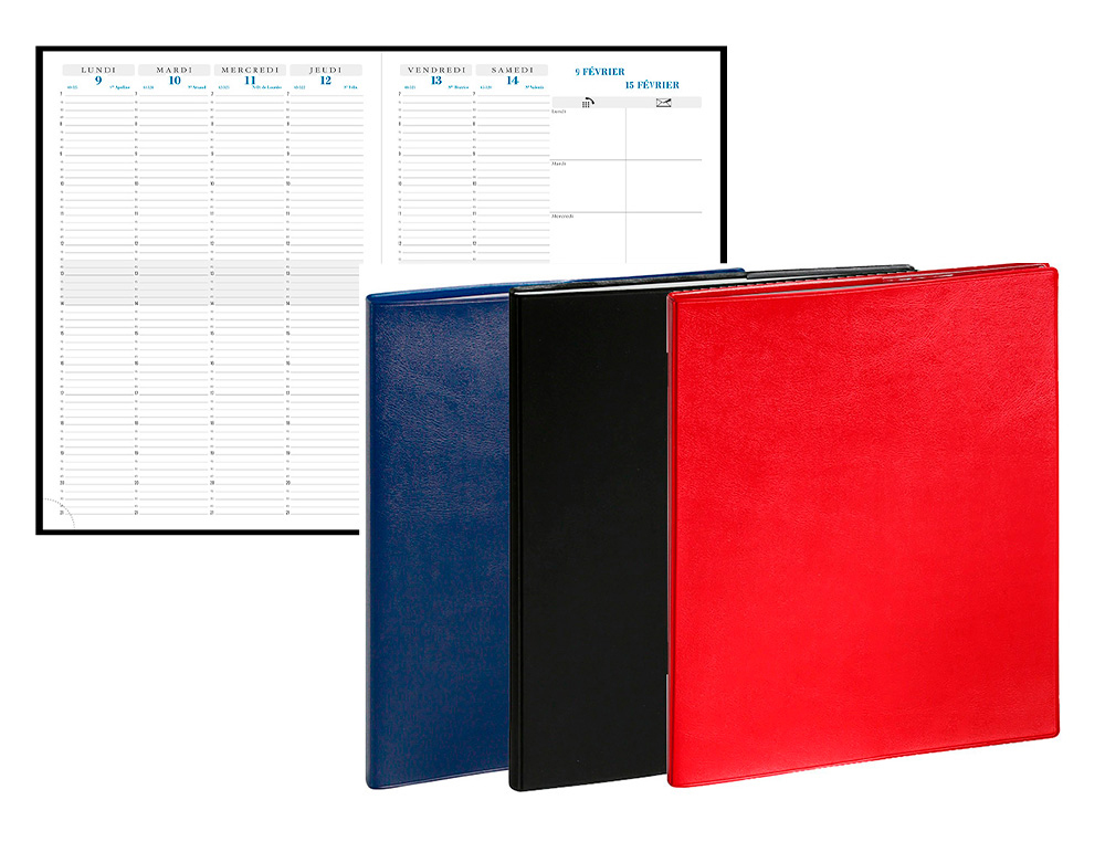 AGENDA EXACOMPTA CONSULTATIONSBARBARA PLASTIQUE 13 MOIS DECEMBRE/DECEMBRE 210X290MM COLORIS ASSORTIS