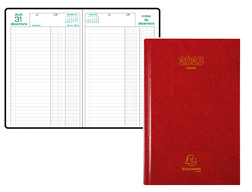 AGENDA RAISIN 24,5 X 16 1 JOUR COULEURS