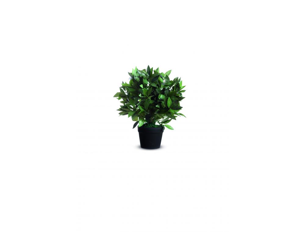 PLANTE ARTIFICIELLE LAURIER H5